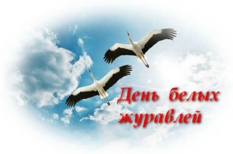 Белые журавли памяти